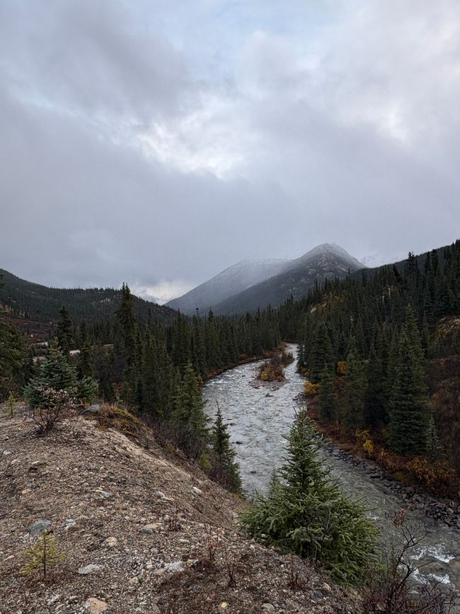 Day 5 - 🚐 Pothole Slalom, Moose Menus, and Off-Road Adventures – our day on the Canol Road