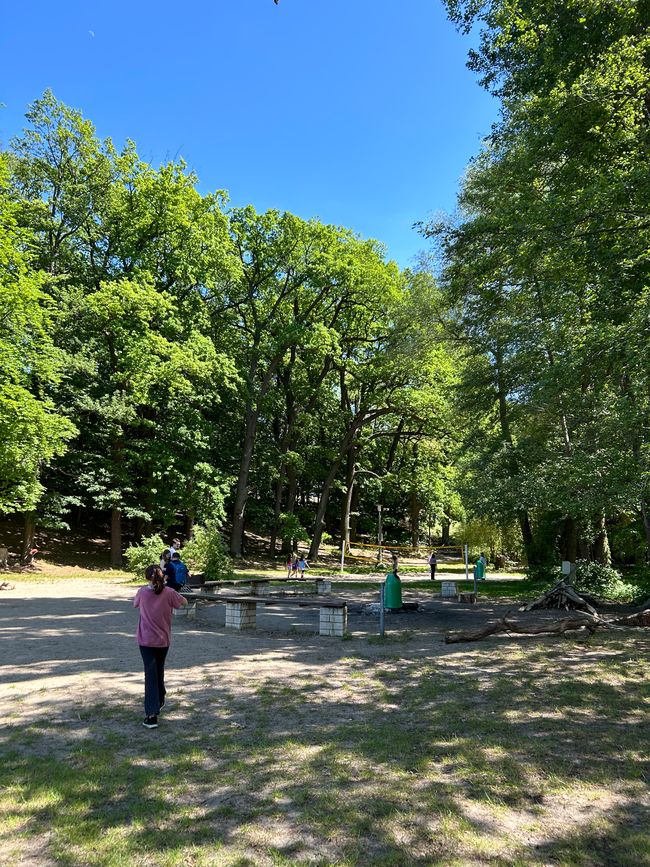 School trip to Petzow