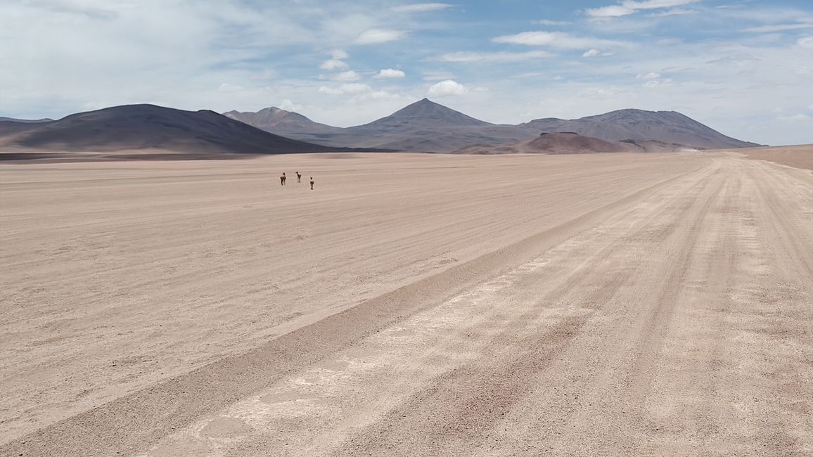 Bolivia, Tour de Lagunas
