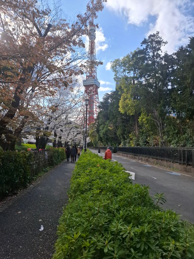 Tokyo Tower