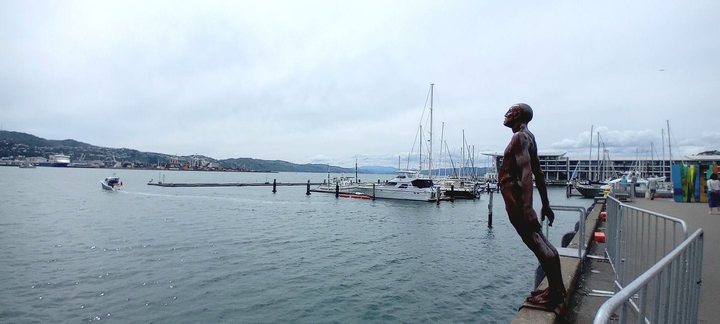Wellington