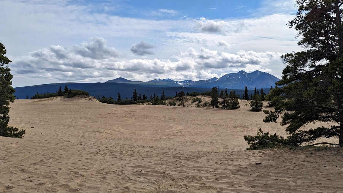 Day 21: Around Whitehorse: Husky Puppies, Emerald Lake & the smallest desert in the world