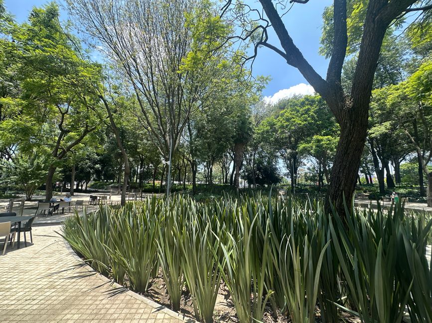 Mi universidad