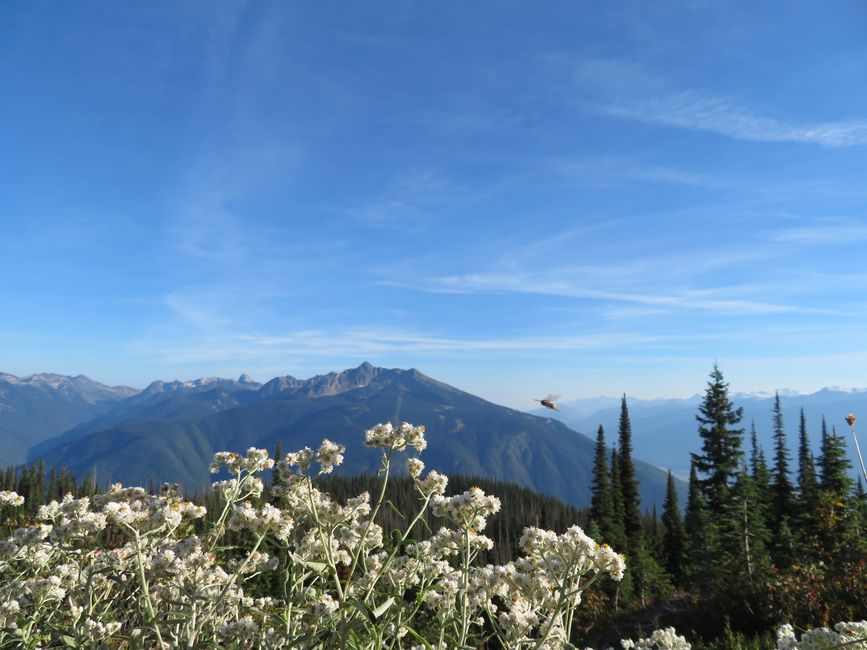 Revelstoke