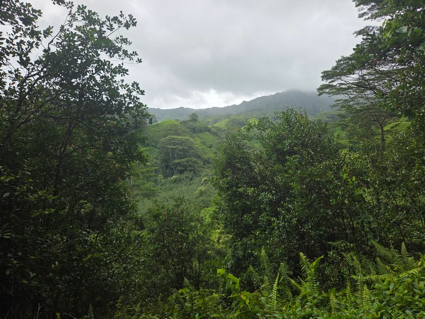 Kuilau Ridge Trail