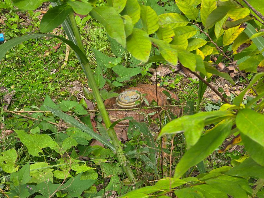 Aki Ra's Cambodia Landmine Museum