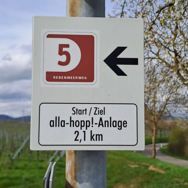 Dem Hinweisschild "Rebenmeerweg 5" folgten wir auch wieder nach Ilbesheim