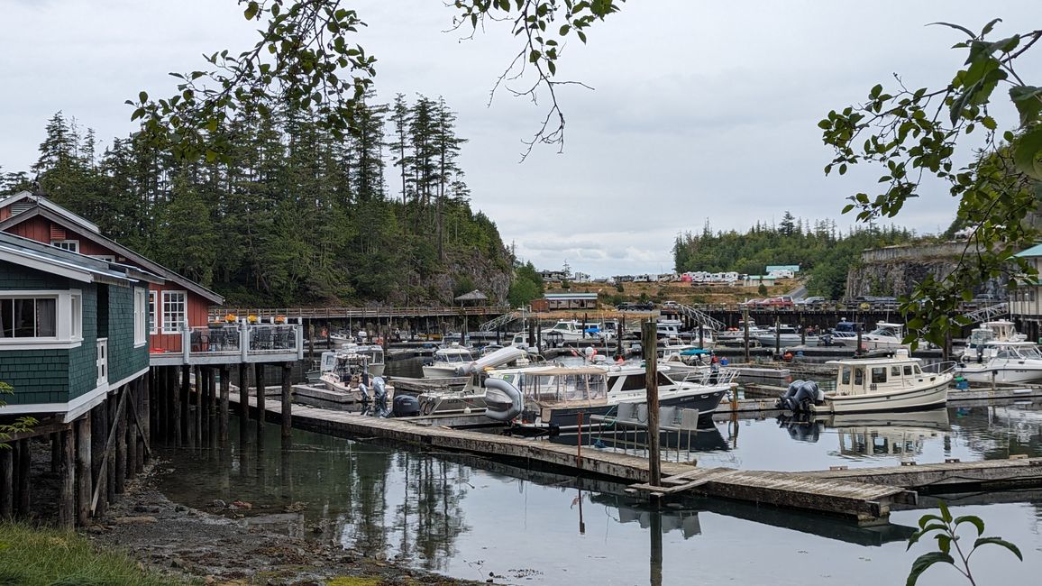 Day 11: Strathcona PP - Telegraph Cove - Alder Bay