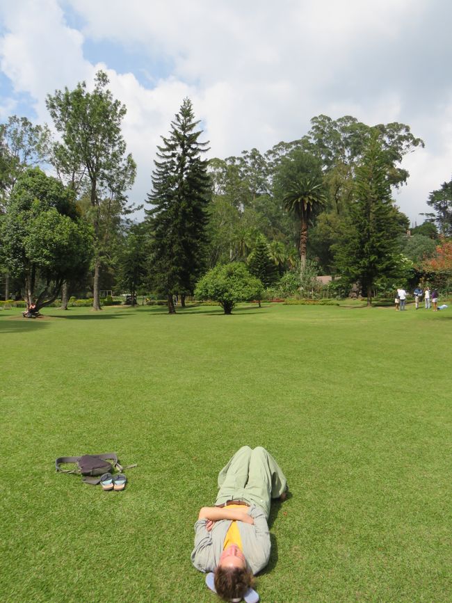 Nuwara Eliya - Dans les Highlands