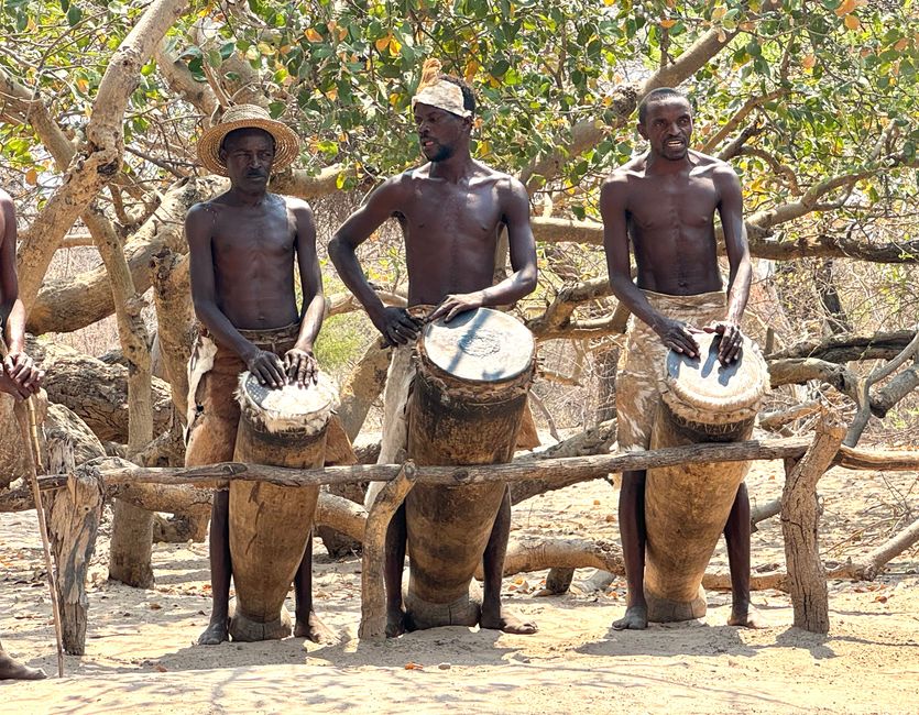 Etosha - Adiós