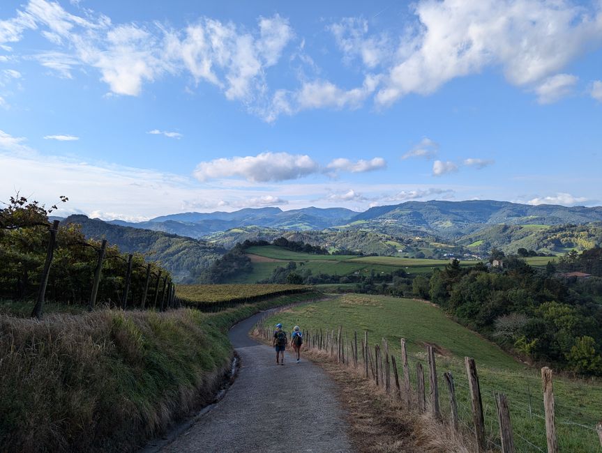 Die Straße der Ölsardinen (Camino del Norte 2)
