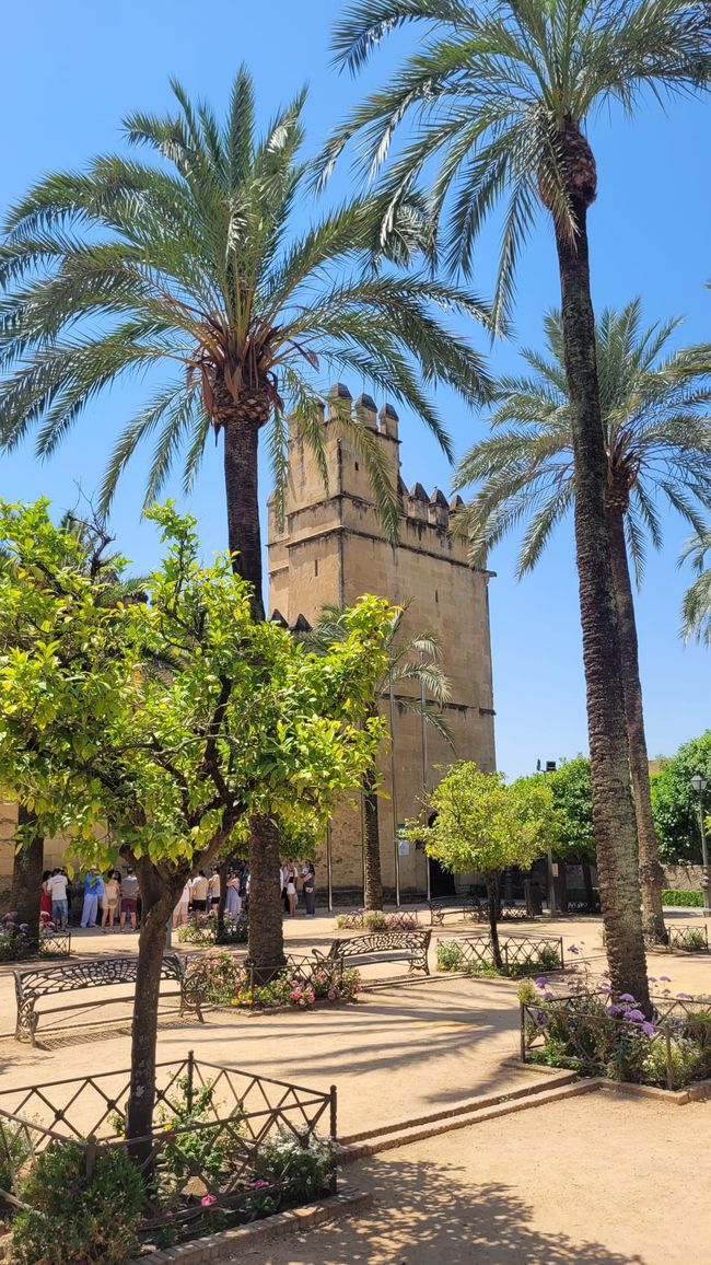 Córdoba
