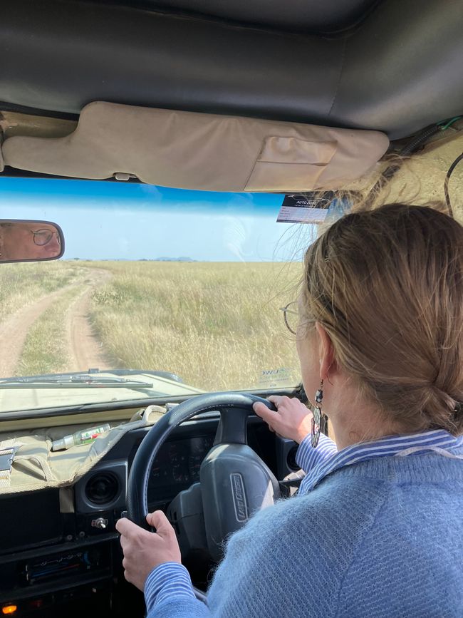 En la Serengeti - Día 2