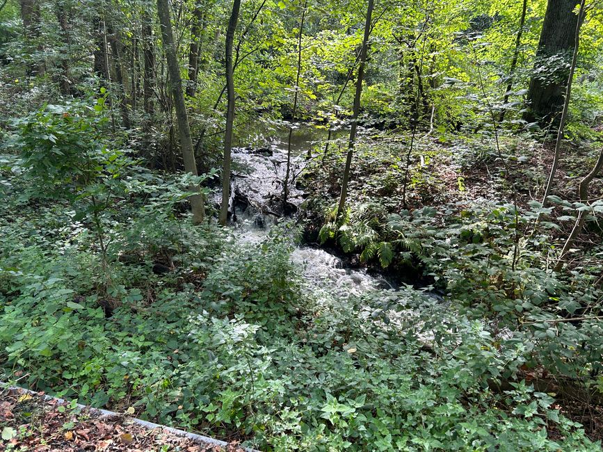 Tag 9: Hunsel - Home Teil 2