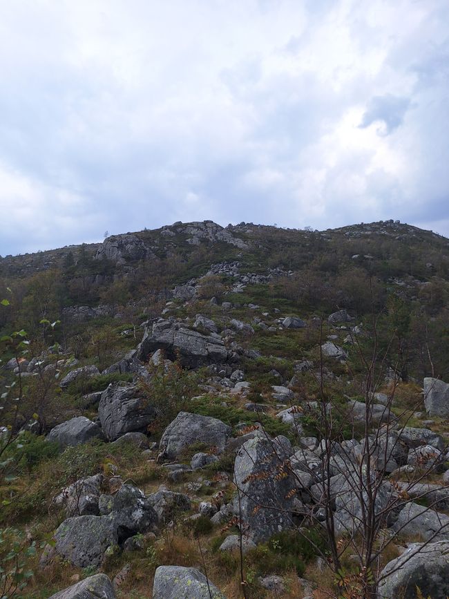 Tag 5 Preikestolen
