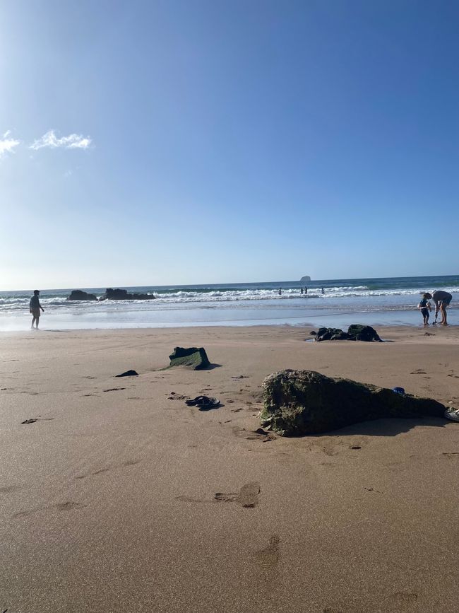 Coromandel loop