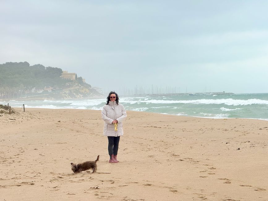 Icke enjoys the view, Emmi is digging in the sand.