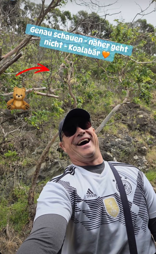 Ja ein Koala🐨🐨🐨
