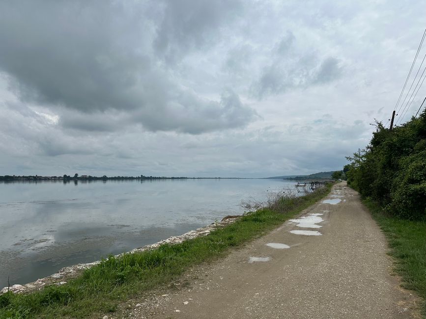 Muddy path directly on the Danube (got even worse)