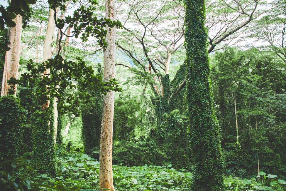 O'ahu, Hawaii