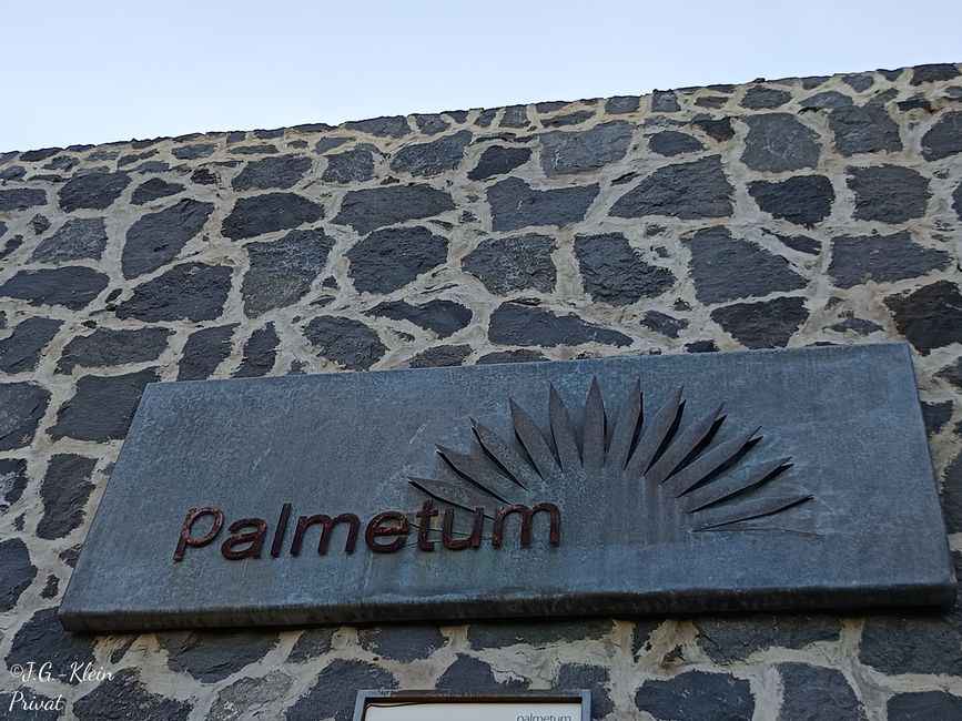 Palmetum