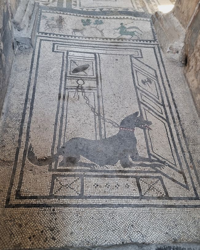 Italien im Frühling
Teil 5 Pompeii