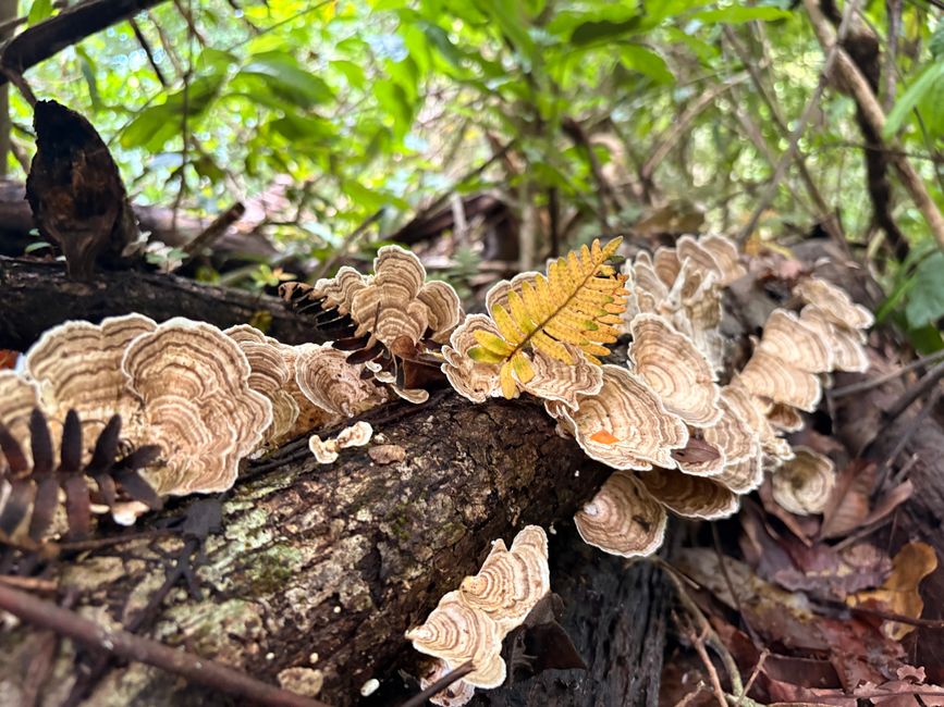 Unterwegs in Costa Rica