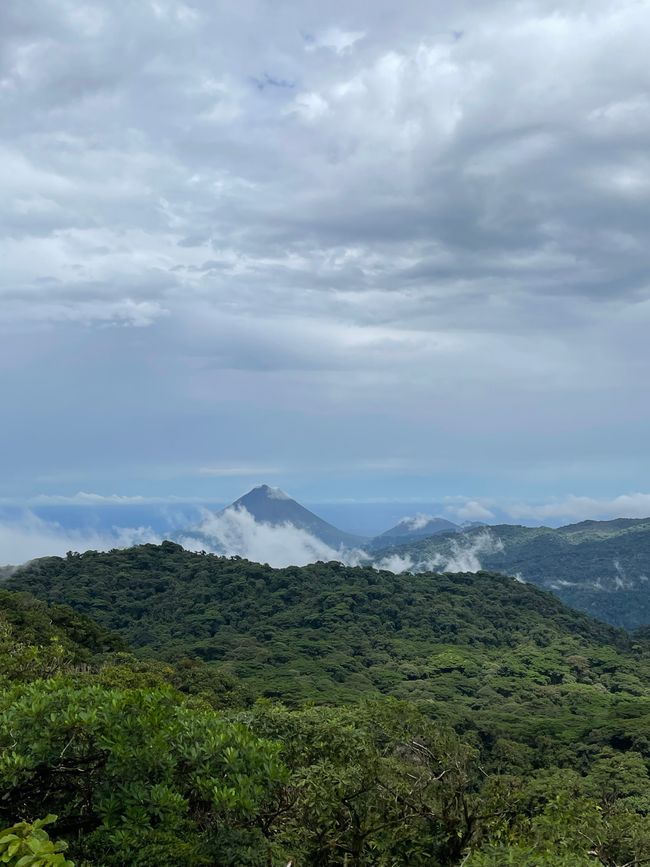 Hoch oben in den Bergen: der Nebelwald von Monteverde
