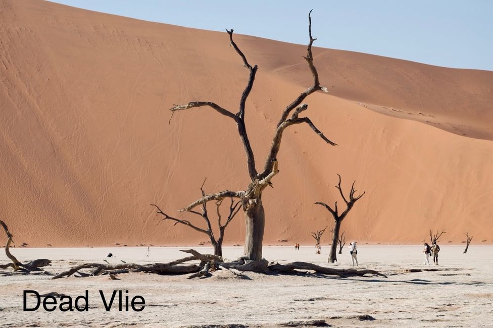 Dünenbesteigung in Namib Wüste