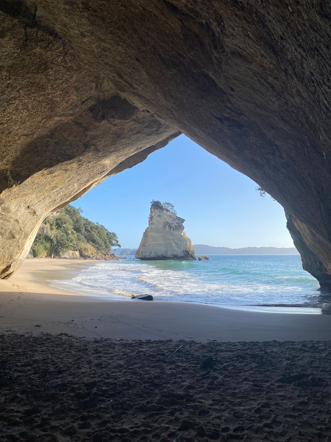 Coromandel loop