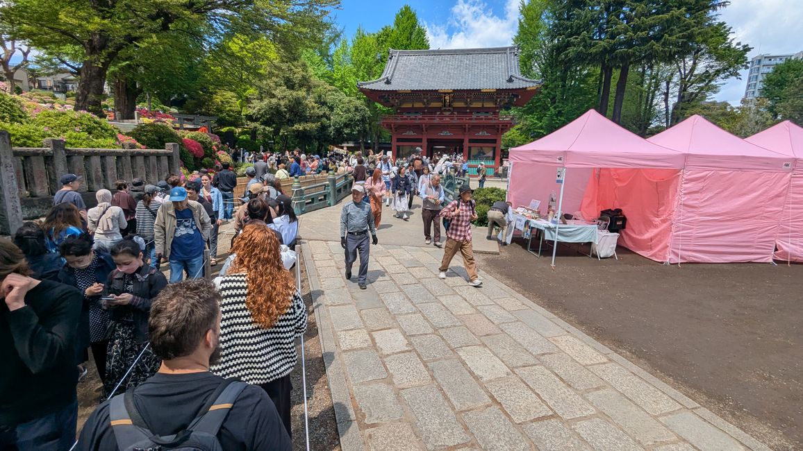 Tenno ji Tempel, Nezu Schrein, Hie und Innrie Schrein