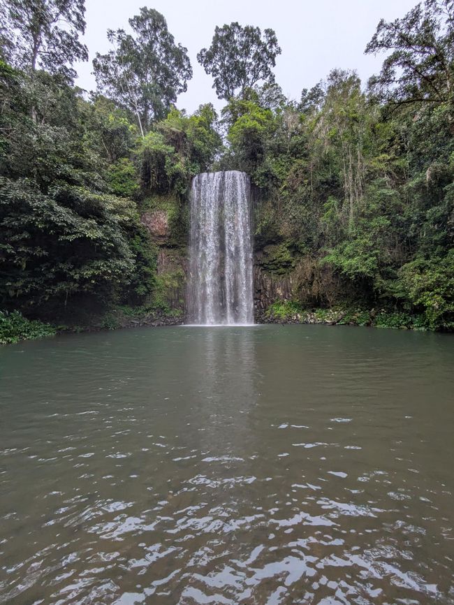 Millaa Millaa Waterfalls