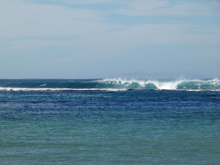 es wird hier auch gesurft 