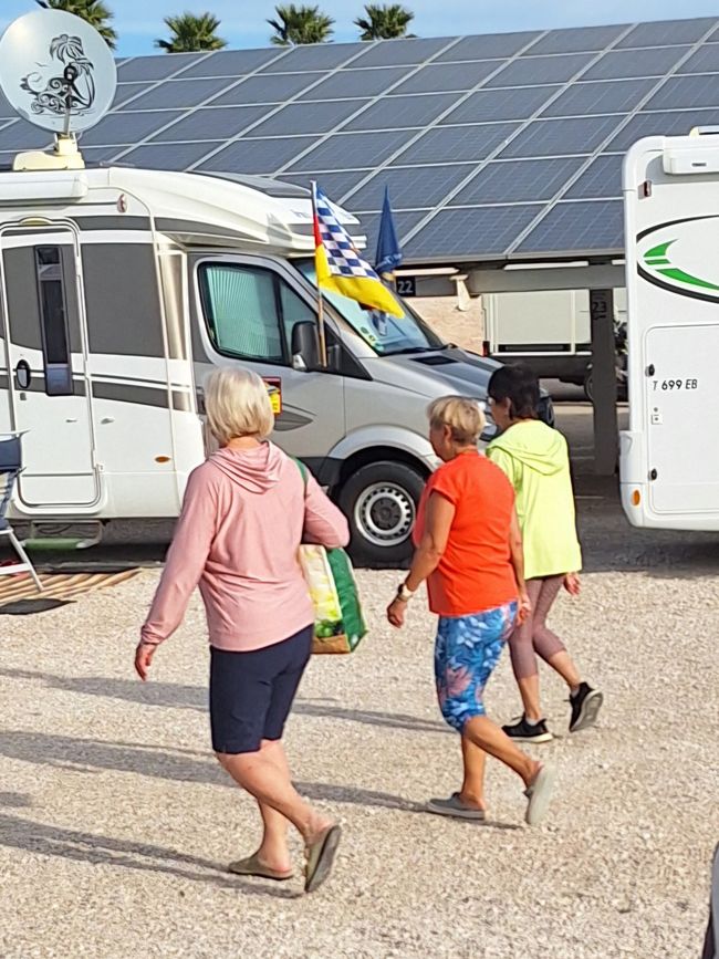 Sport mattutino....