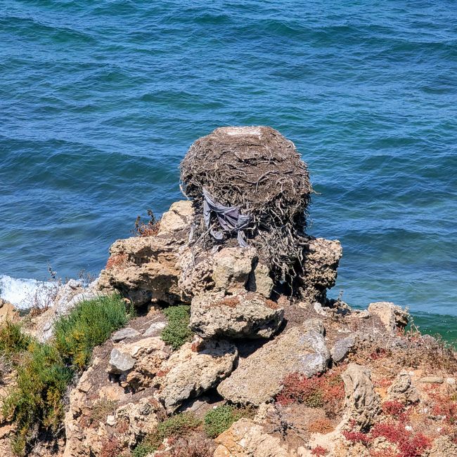 11. Étape de Villa Nova de Milfontes à Porto Covo