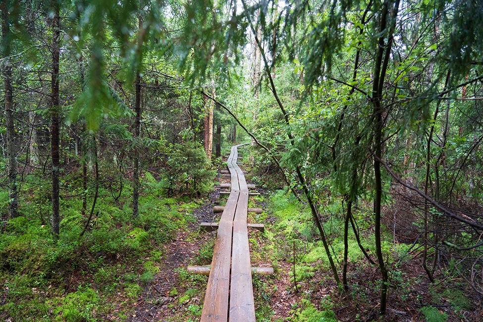 Majakivi–Pikanõmme 教学路径