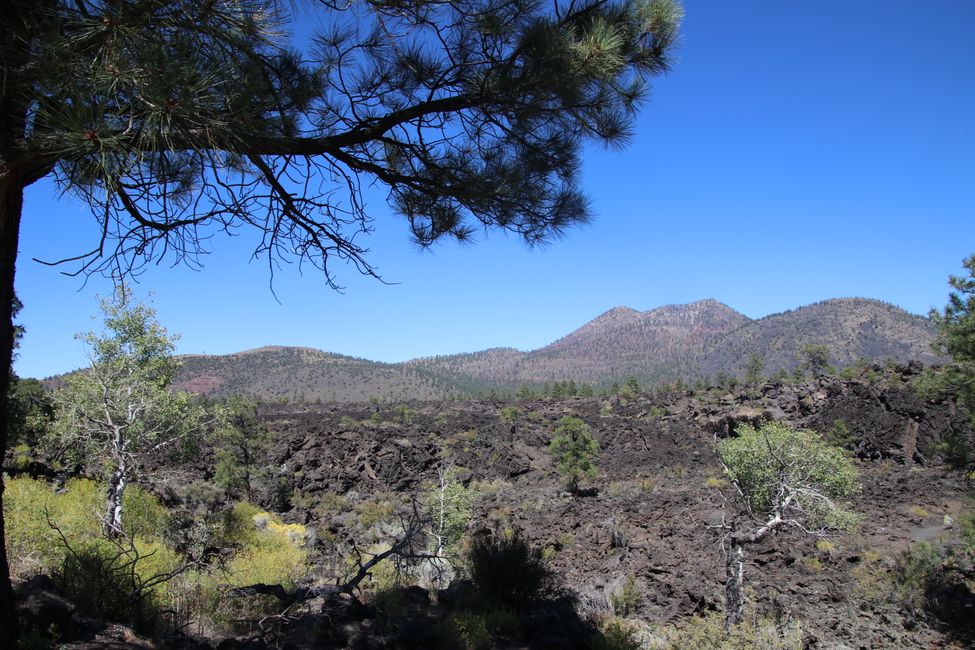 Vista sobre un campo de lava