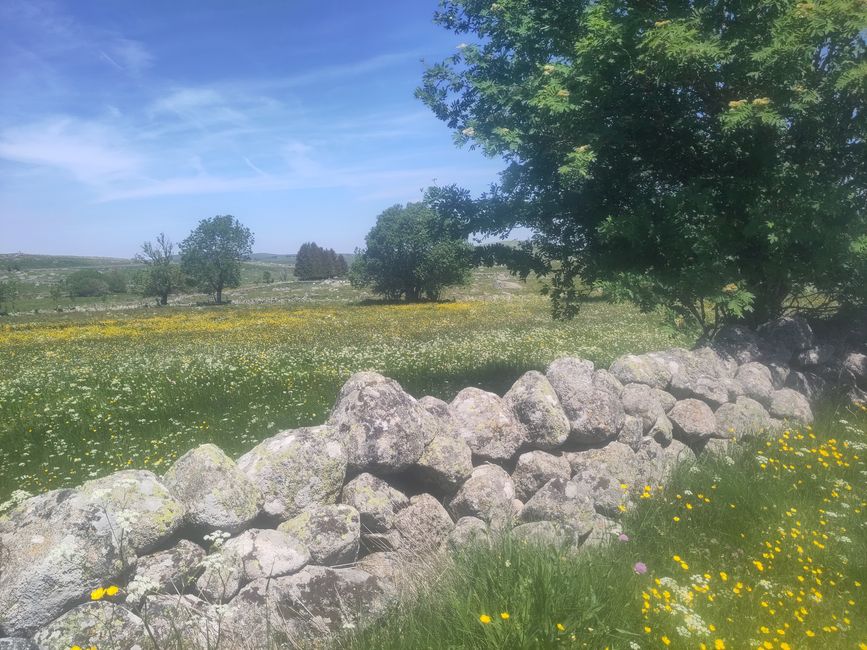 sur le plateau d'Aubrac, à Le Puy-en-Velay et jusqu'au Rhône...