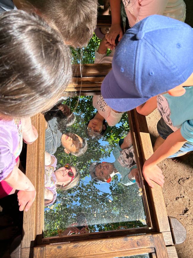 School trip to Petzow