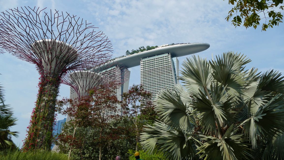- Singapur & Tasmania 2019 -