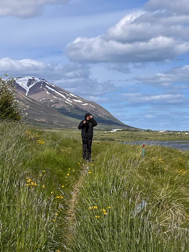 Dalvik