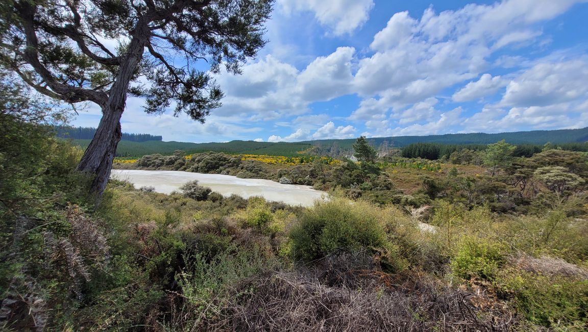 In Wai-O-Tapu National Park and at Lady Knox