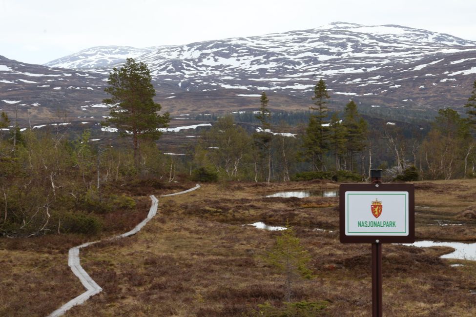 Trondheim bis Bodø