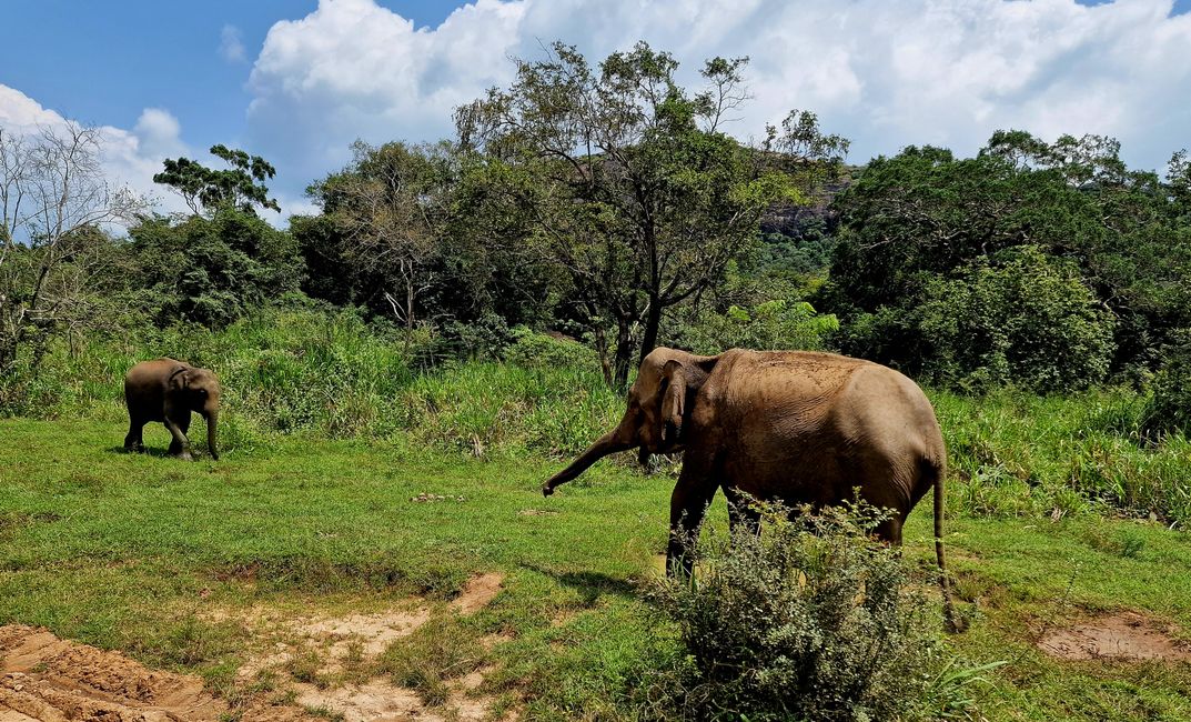 Hurulu Eco Park