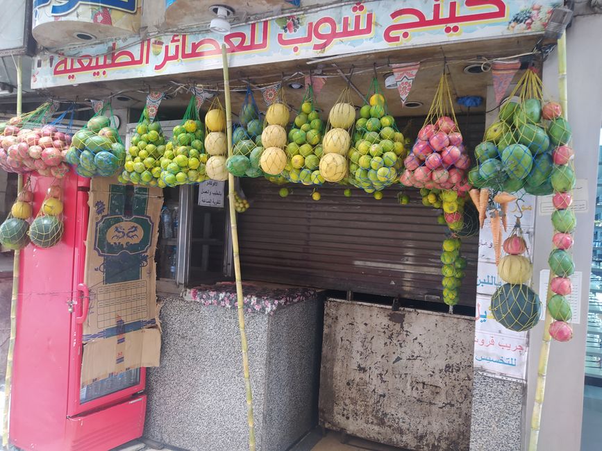 Erste Schritte und Begegnungen