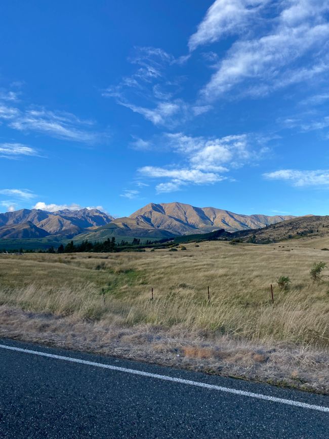Random view on the way to Manapouri