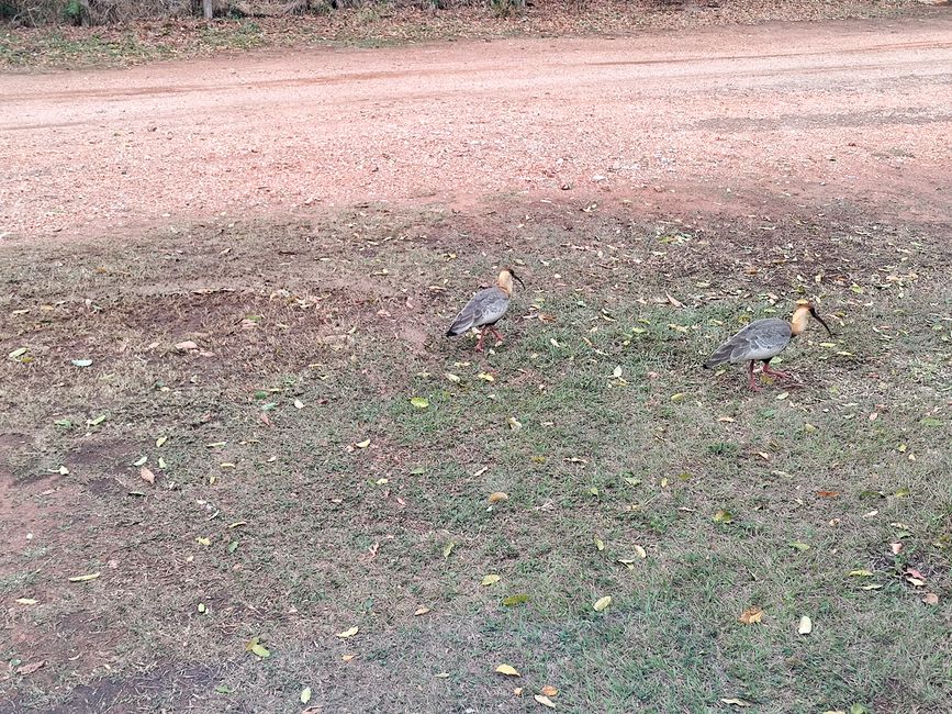 Brasil, Bonito