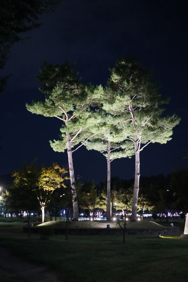 Jardín de luz