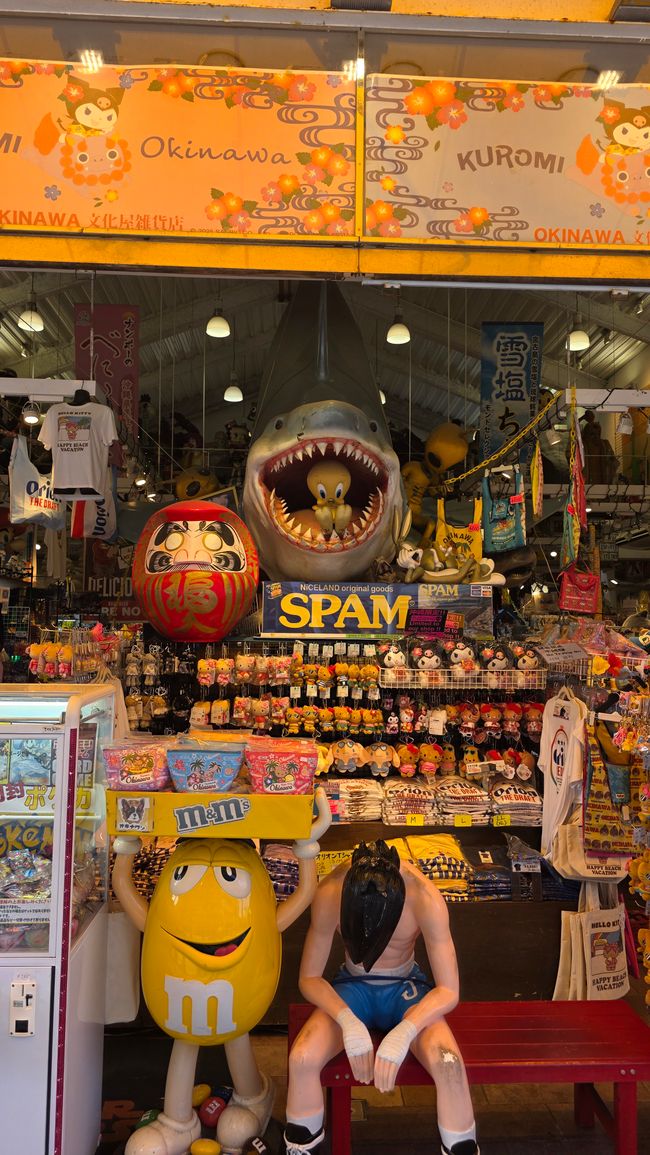 Okinawa Nuchi du takara (Life is the very thing we treasure)