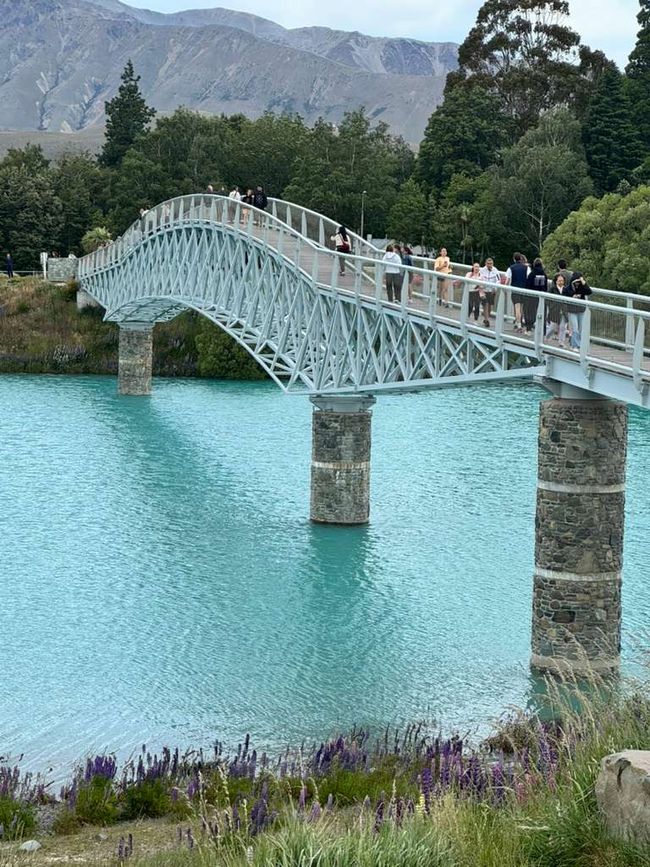 LAGO TEKAPO